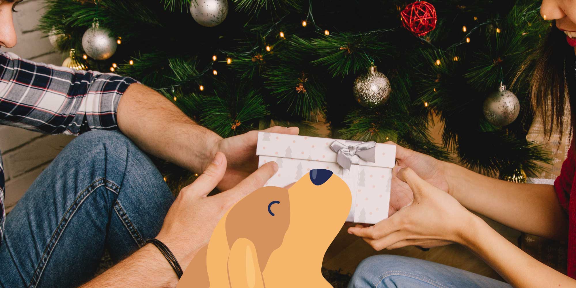 Celebrate the Holidays with your Pets | BetterVet 